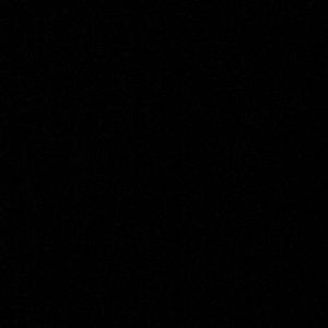 Meet your Posher, Carter